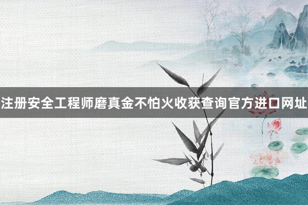 注册安全工程师磨真金不怕火收获查询官方进口网址